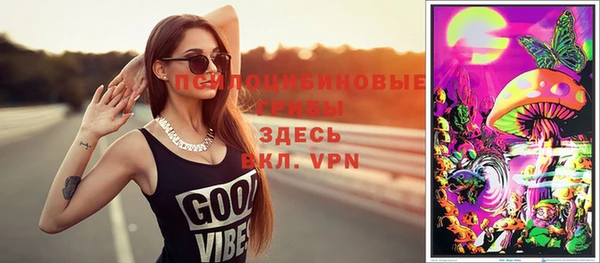 apvp Арсеньев