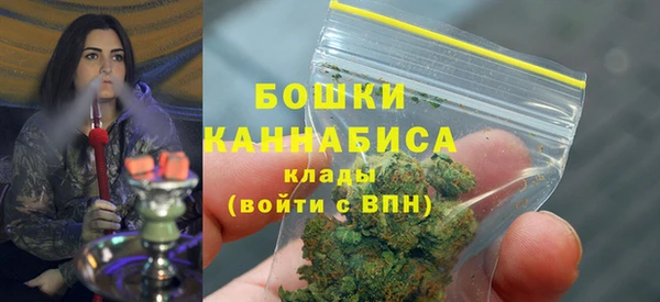 apvp Арсеньев