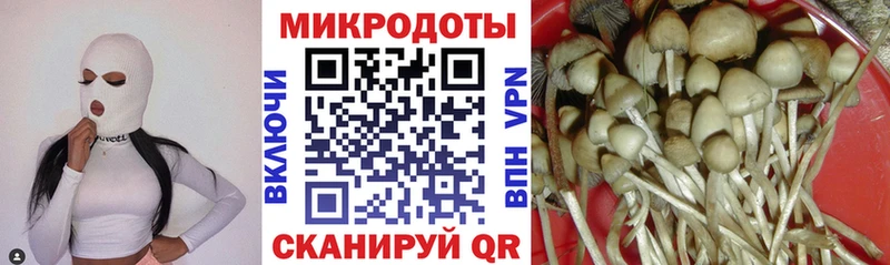 Галлюциногенные грибы Psilocybe  KRAKEN зеркало  Ростов 